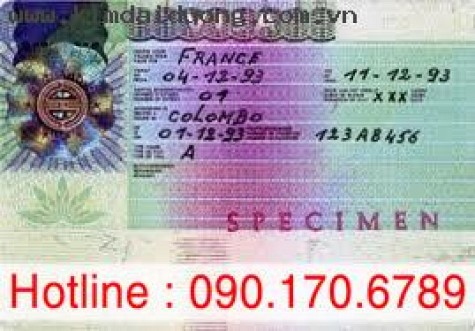 Dịch vụ visa Pháp