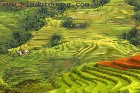 TP Hồ Chí Minh - Hà Nội - Sa Pa - Núi Hàm Rồng – Bản Cát Cát