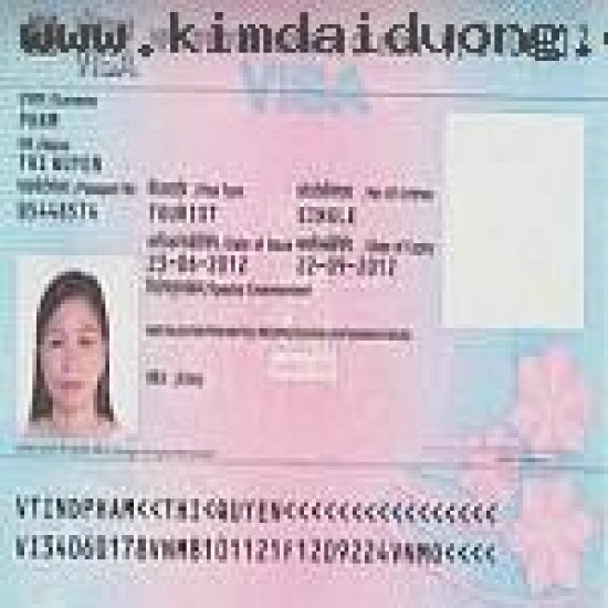 Dịch vụ làm visa Ấn Độ nhanh khẩn