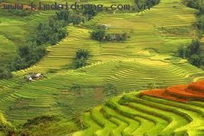 Dịch vụ visa Singapore Dịch vụ visa Singapore